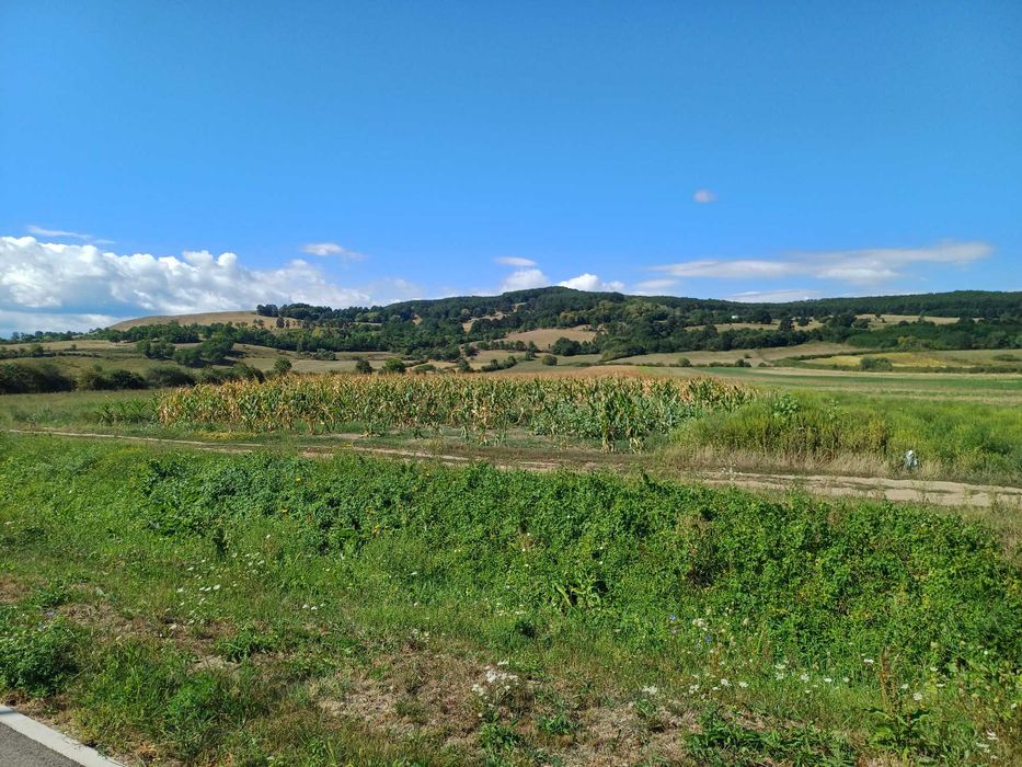 Teren intravilan/extravilan 15.000 mp zona Spânzurătoare Cugir