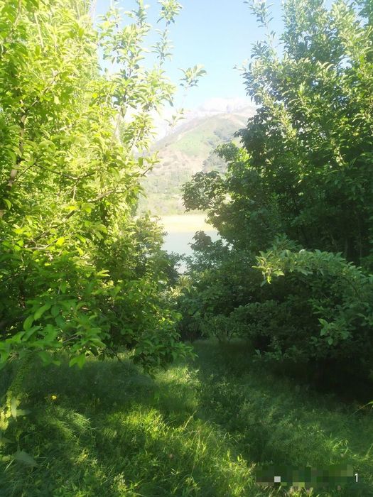 Дача сотилади 2-линия котта сувга 300 метр природа номер 1