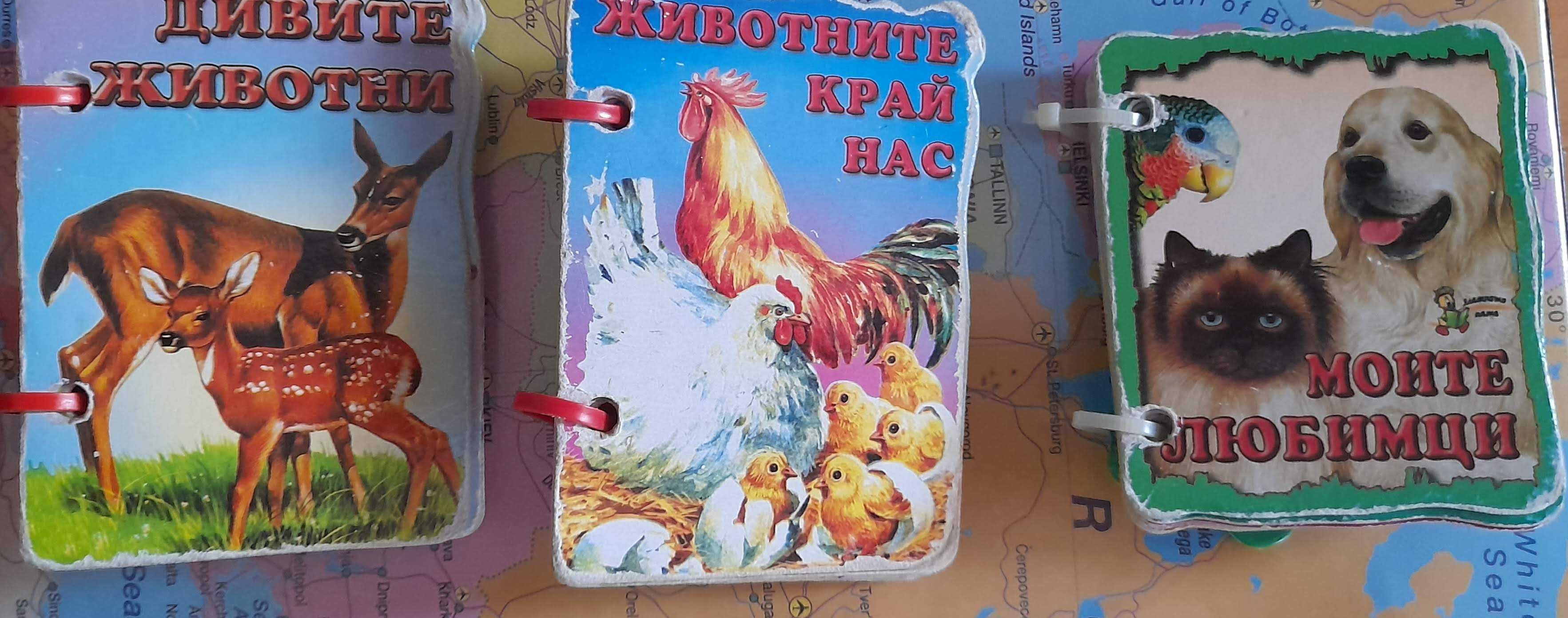 Детски книжки картонени