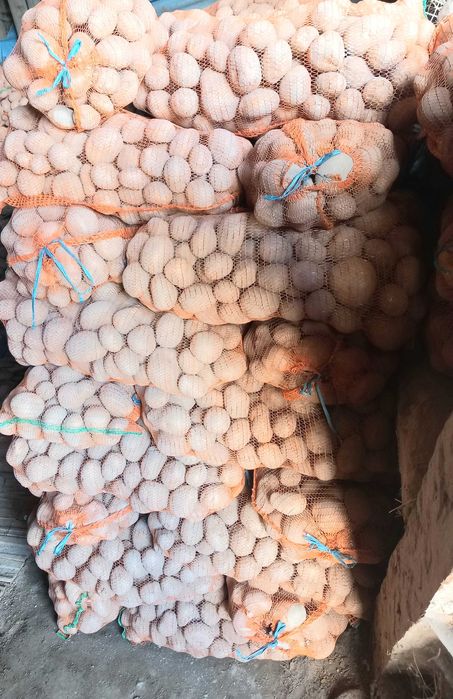 Cartofi consum carera și paradiso