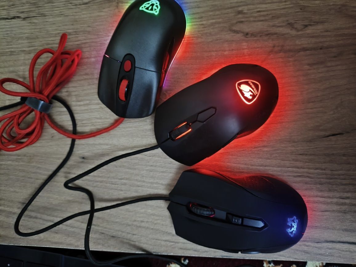 Игравой мышкалар 100 mingdan donasi