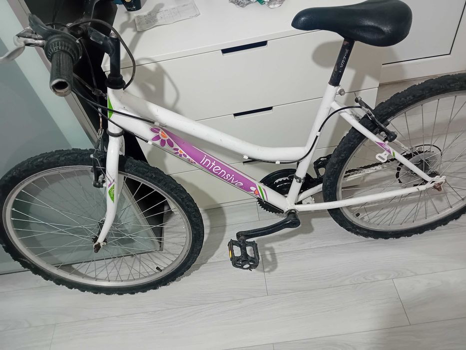 Bicicleta intensive