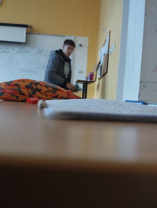 Dau spre adopție un câine de talie mare