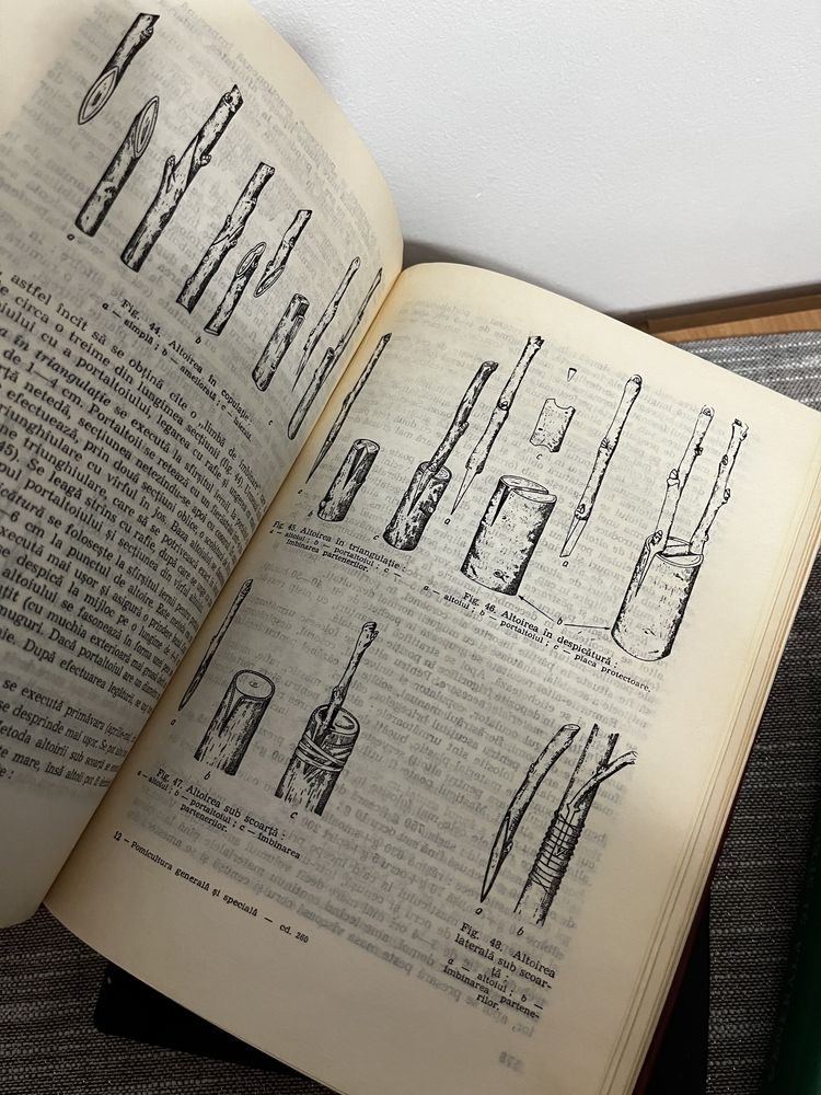 Pomicultura Viticultura Legumicultura