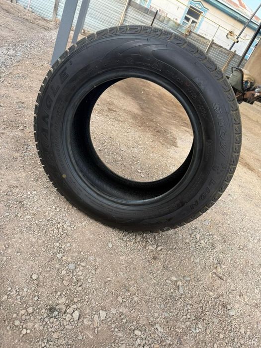 Triangle зимние шины