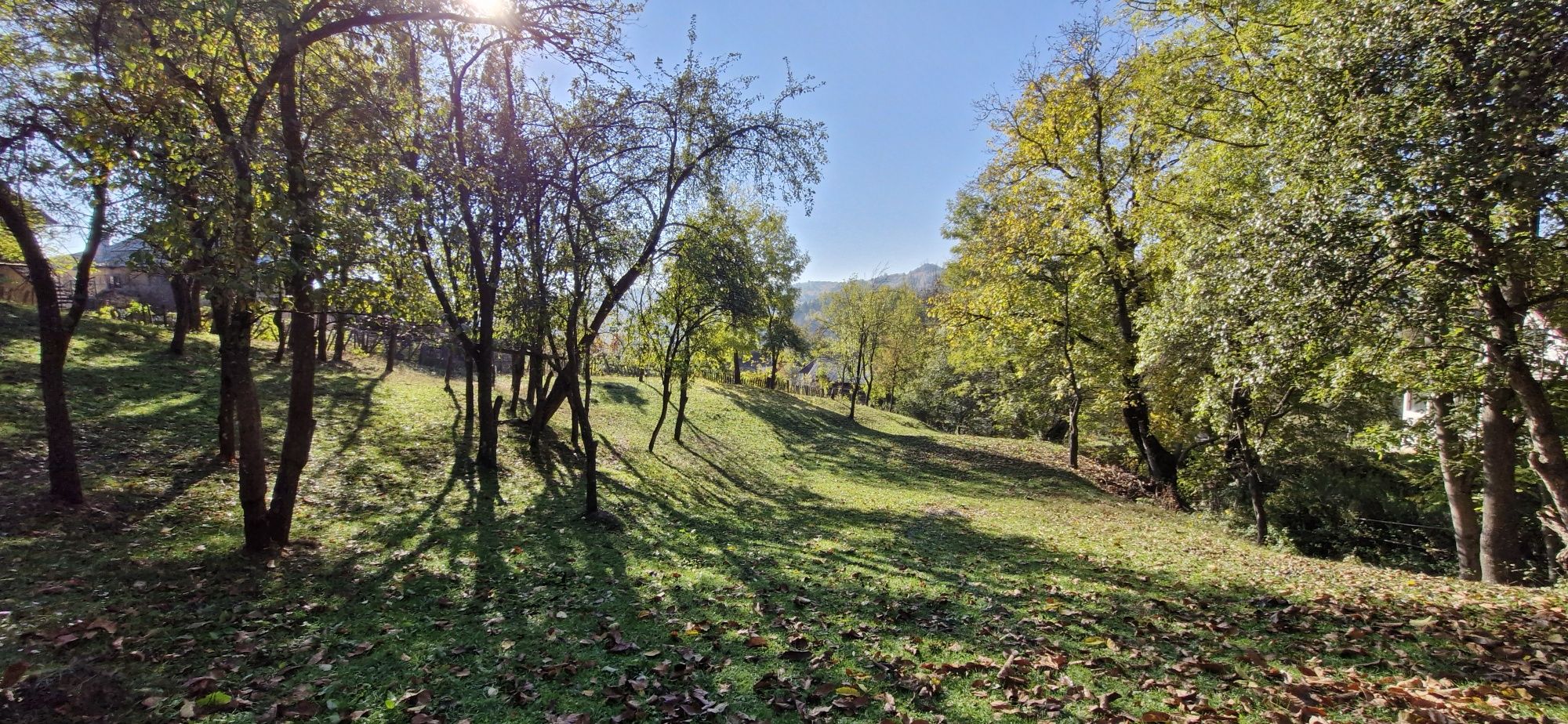 Teren la munte Intravilan 1600mp Arefu-Arges (Transfăgărășan) 17eur/mp