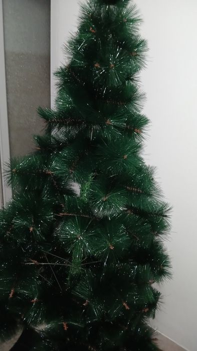 Brad de Craciun 1.80m