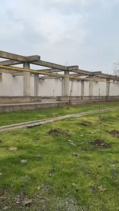 Продаётся янги узбекистан 25 соток углавой орентир опа сингл балик