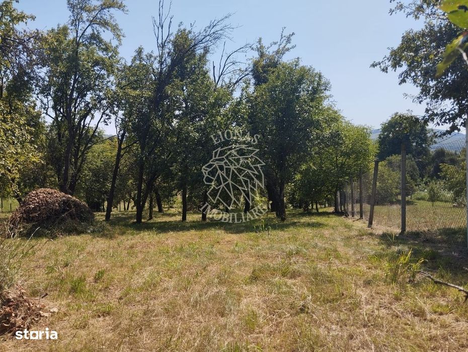 Teren intravilan 2828 mp+autorizatie casa-anexe-livada-Dorolea