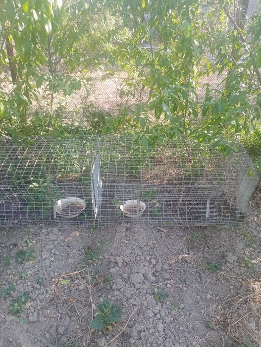 Сборные метал.клетки можно для кроликов , курей