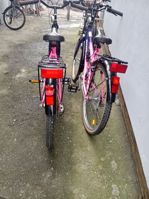 Doua biciclete gemene