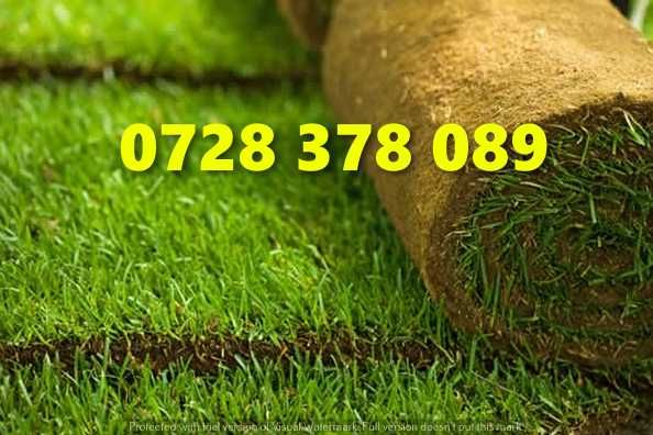Gazon rulou - Gradina Verde vesnica Garantat ! Firma autorizata