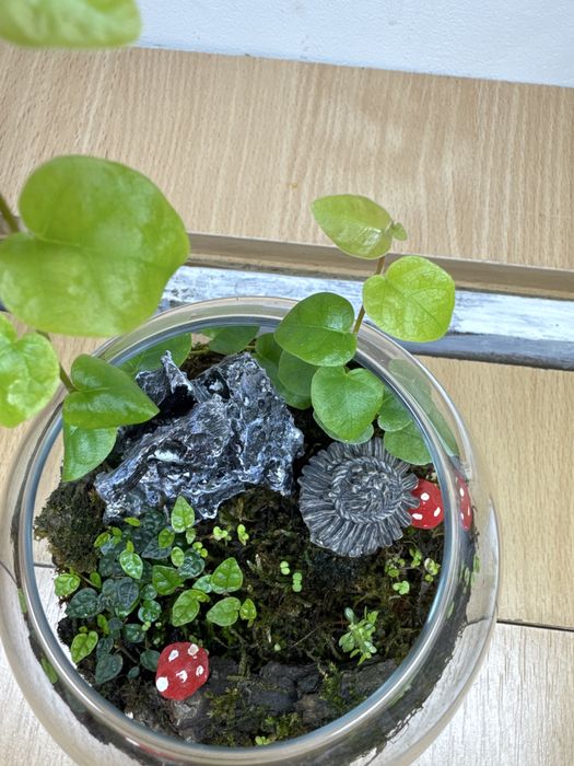 Продам флорариум,со мхом открытый!