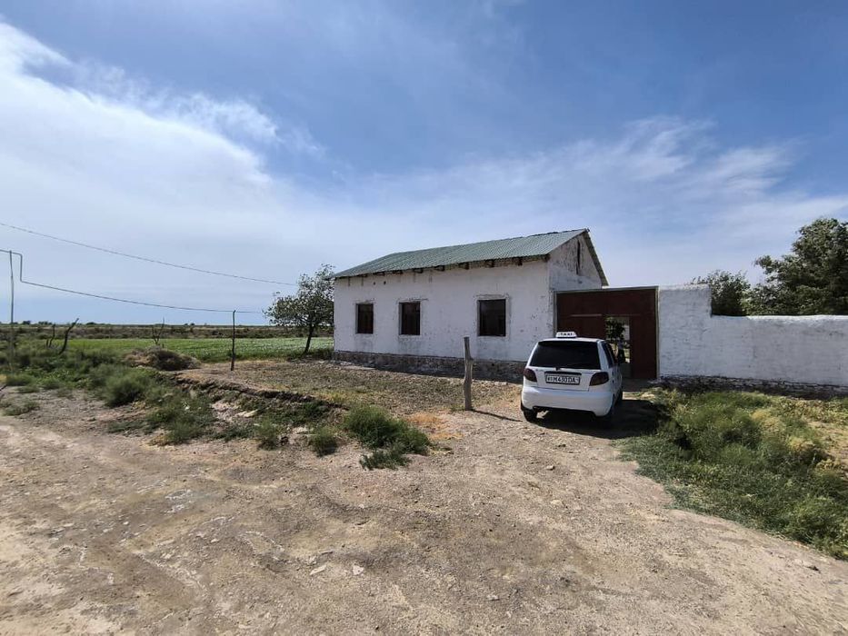 Канимех Карвон йули