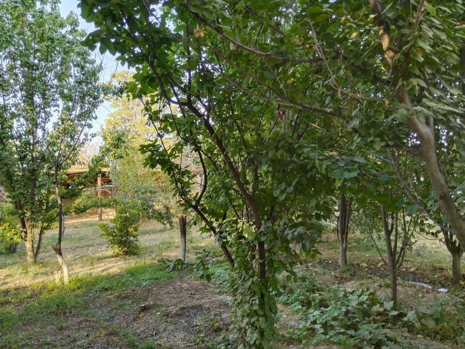 Дом продается / Үй сатылады Микоян (Ынтымак)