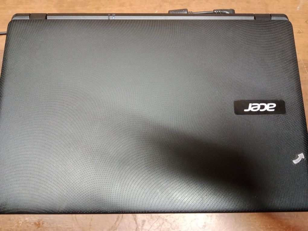 Acer extensa 2519