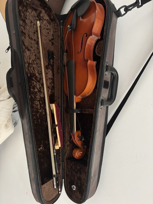 Музыкальная скрипка