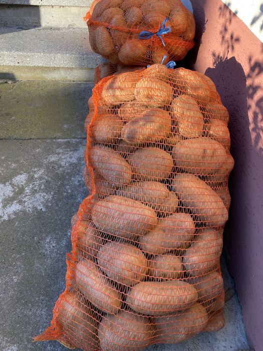 Cartofi albi bio, samanta ultra