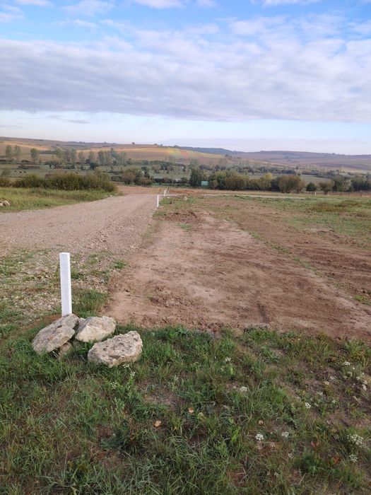 Investiție sigură , terenuri 700 mp ,Paleu