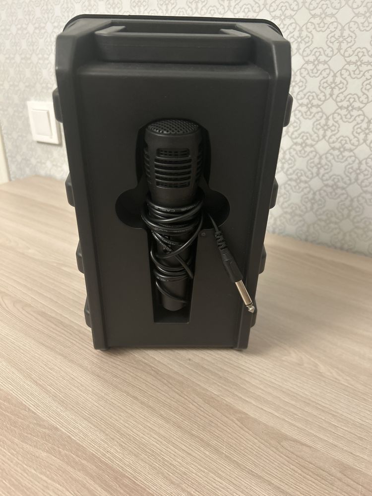 Колонка с микрофоном