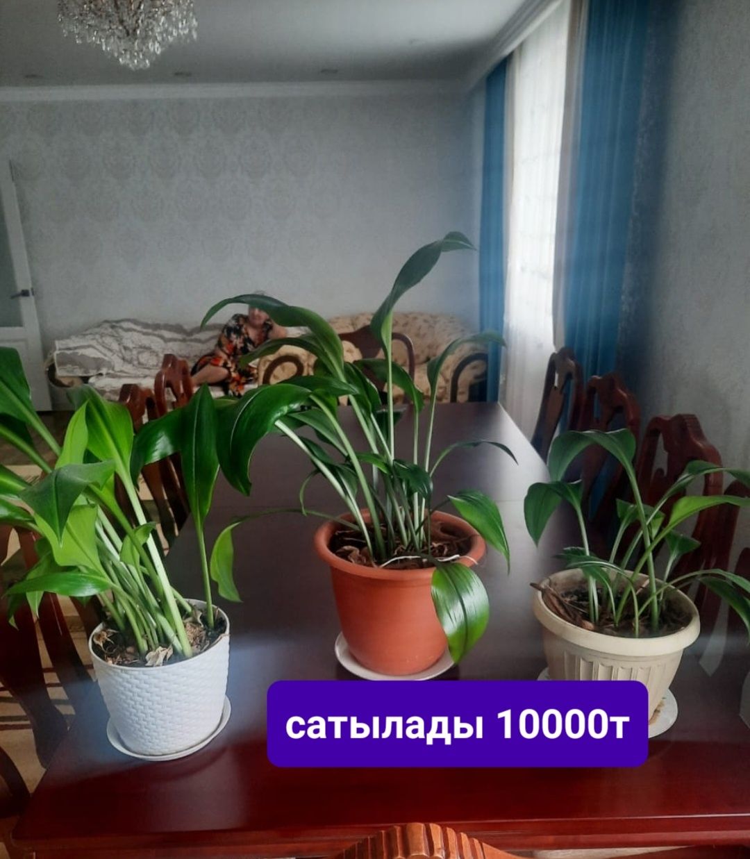 Продамцветы.Состояние хорошо