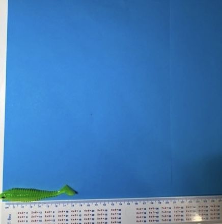 Тамъки - DeepFiish