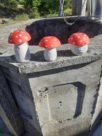 Vând ciuperci onrmante gradina