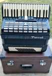Acordeon Parrot 60 basi