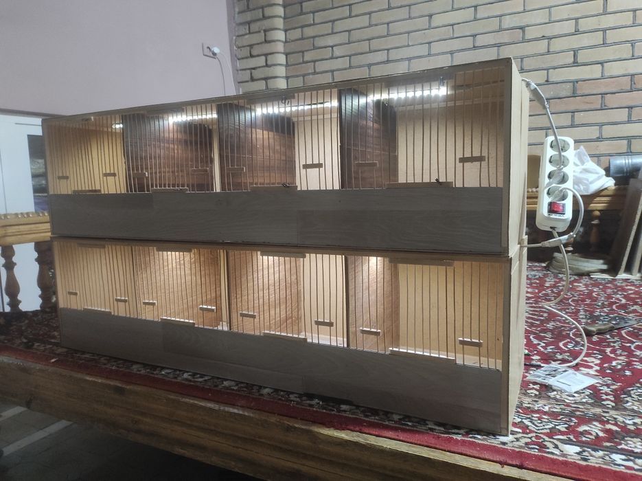 Italiya bedona makiyonlari uchun qafaslar sotiladi