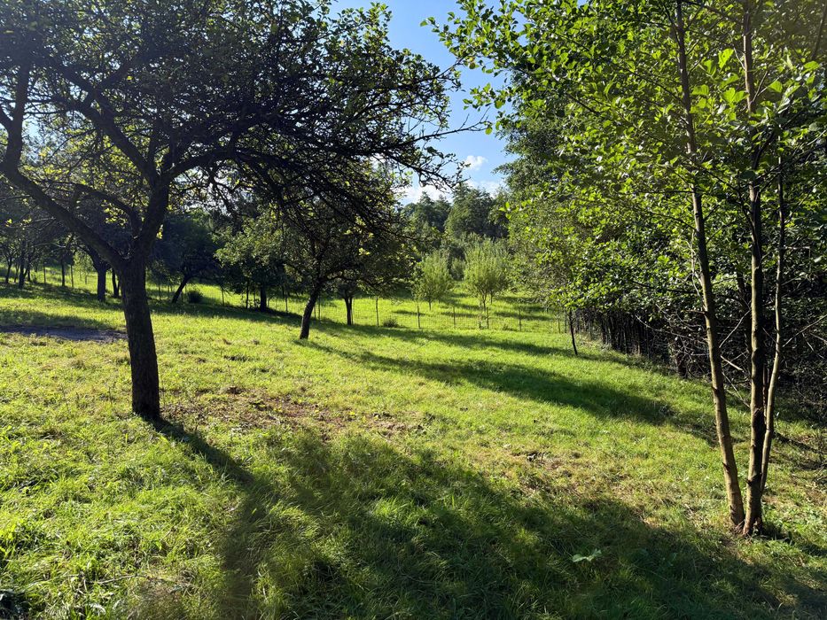 Teren intravilan 1600 mp, Sohodol, zona Bran Moieciu.