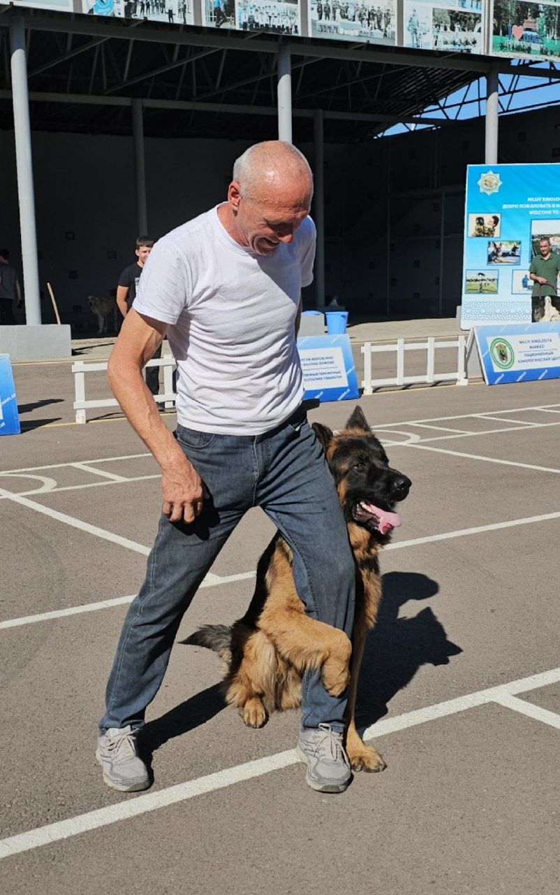 Услуги кинологов
