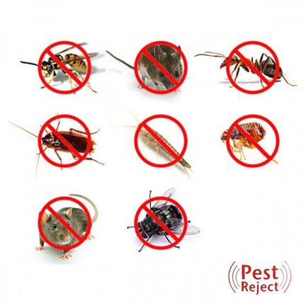 Ультразвуковой отпугиватель грызунов и тараканов PEST REJECT