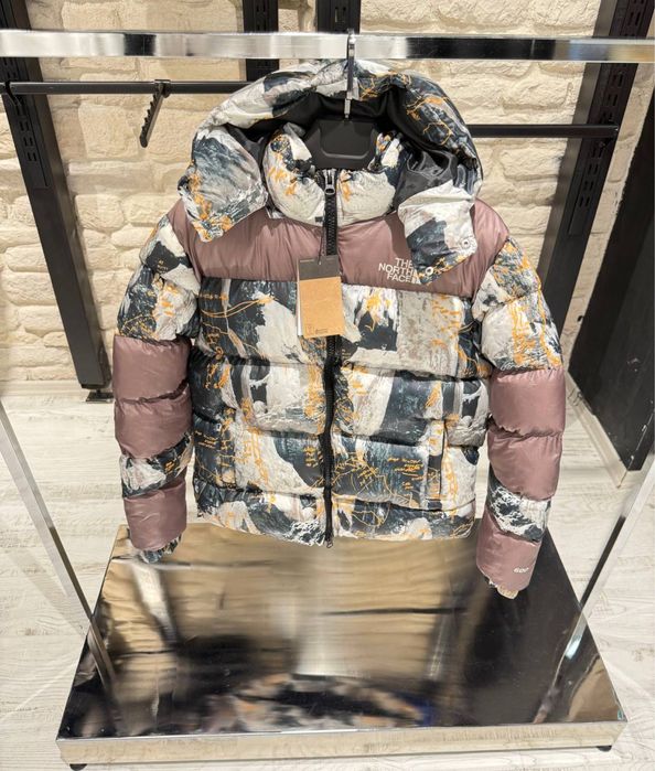 Geci de iarna premium the north face