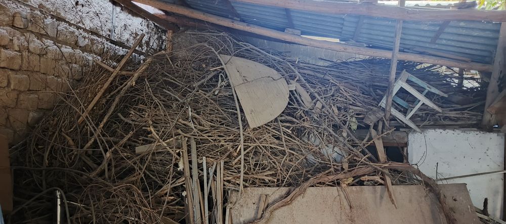 Утин текинга берворилади шох шабба тандирга Зур куриган