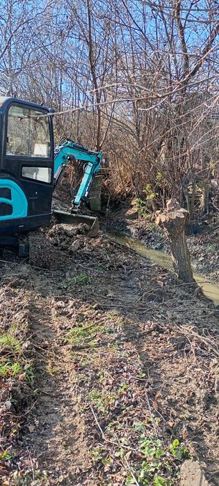 Închiriez mini excavatoare