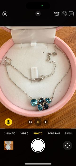 Swan сребърно колие