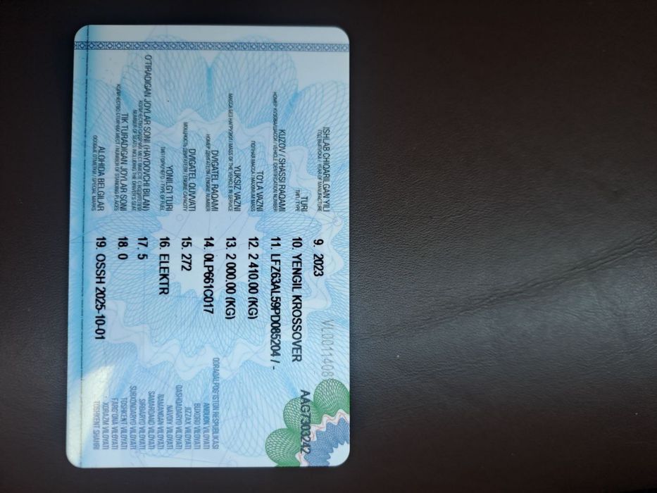 Leapmotorc C11 Dual Motor