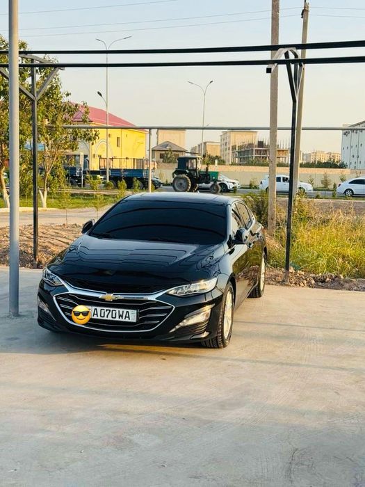 Malibu 2 premier full