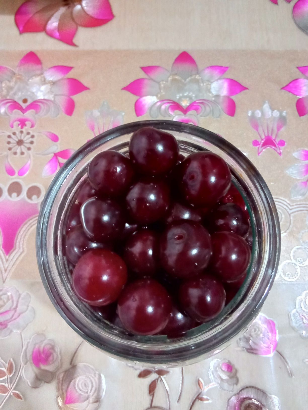 Продам вишню садовую.