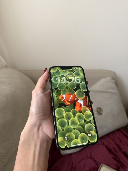 Iphone 13 pro max 512 gb