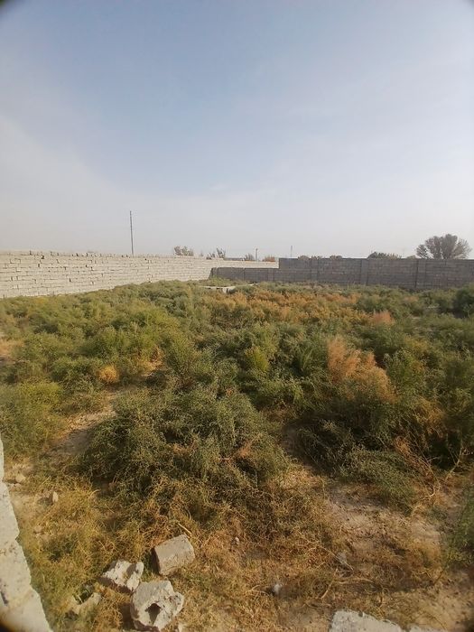 Чоргумбаз 6сотих чала ер участка сотилади