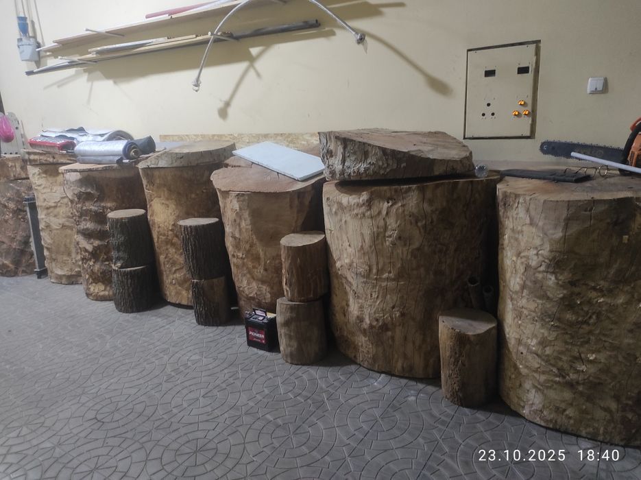 Кунда қассобларга чинор