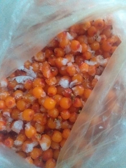 Вишня замороженная