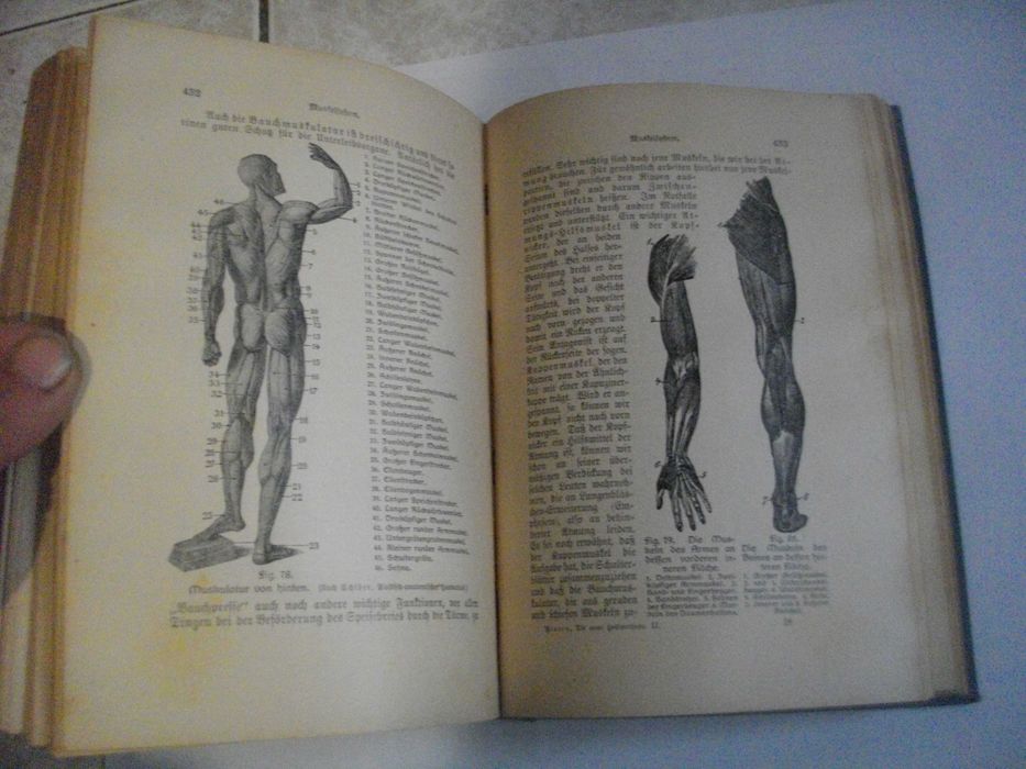 1913г-Антикварен Стар Медицински Учебник-"Platen Die Neue Hellmethod"