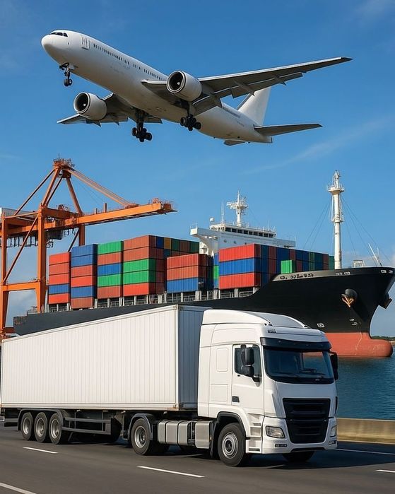 Услуги декларанта