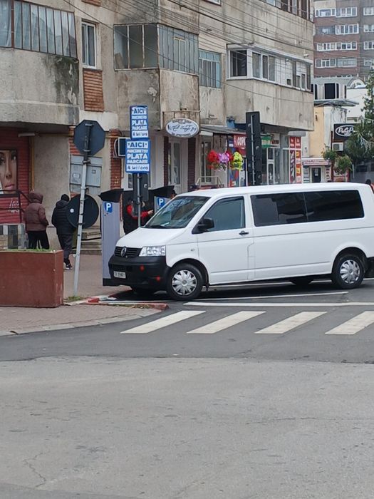 Transporter 19.model lung.