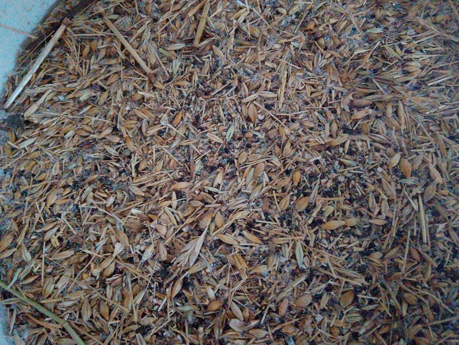 Отходы продам привезу бесплатно