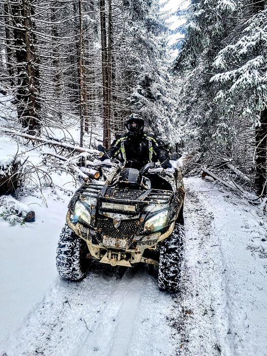 Cf Moto 820 Quad Area