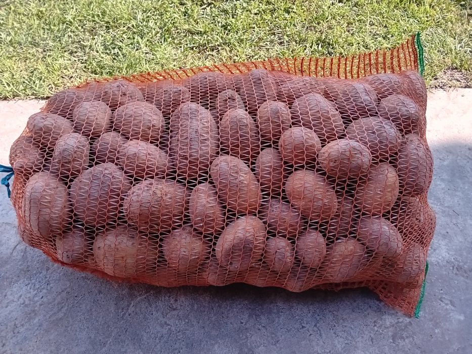 De vanzare Cartofi consum