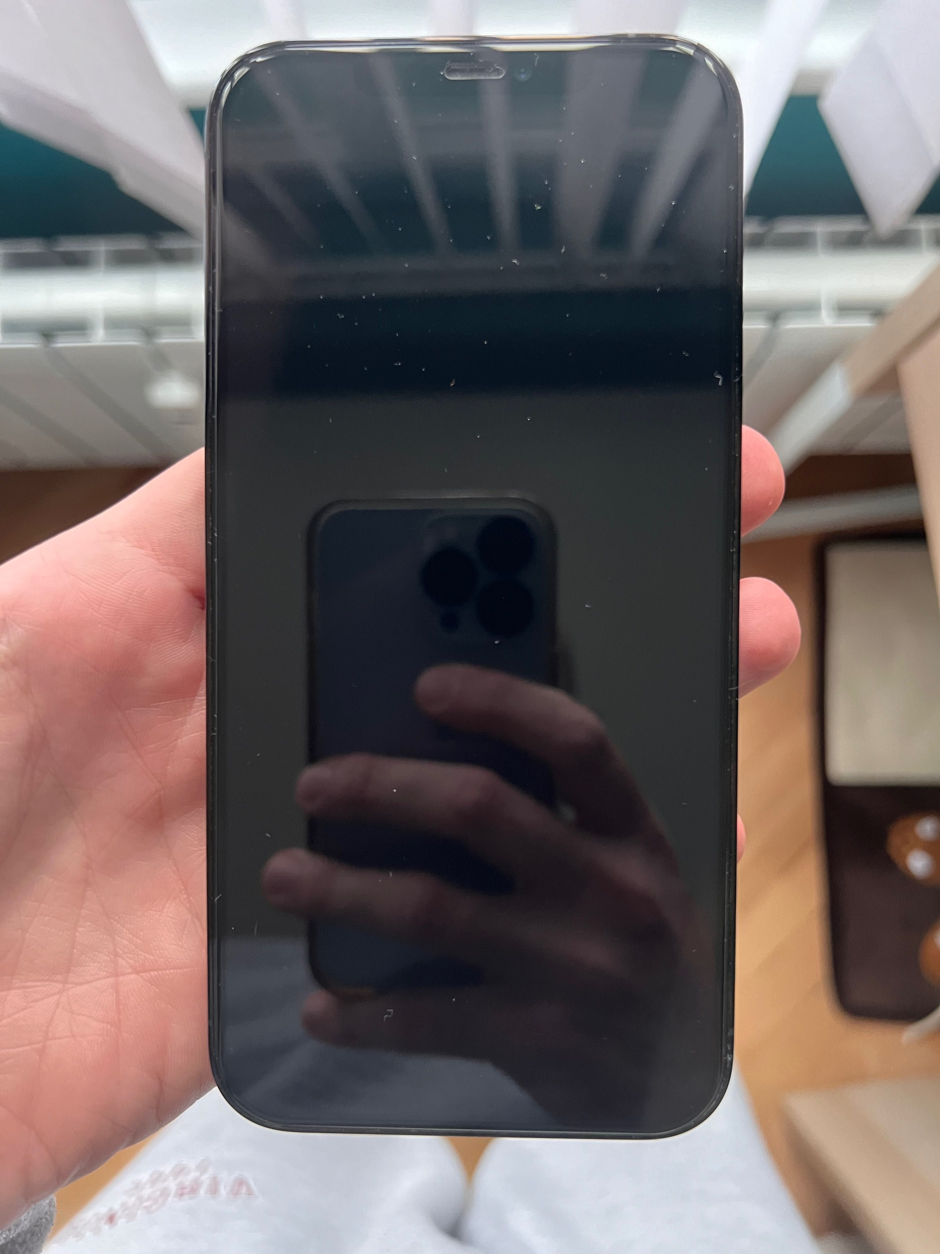 iPhone 12 Pro Max 256 GB Pacific Blue